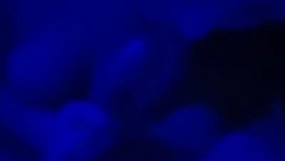 徐冬冬15分钟视频